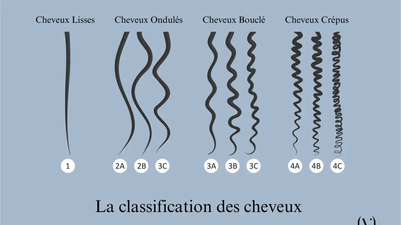 Classification des cheveux : lisses (1), ondulés (2A, 2B, 3C), bouclés (3A, 3B, 3C) et crépus (4A, 4B, 4C).