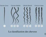 Classification des cheveux : lisses (1), ondulés (2A, 2B, 3C), bouclés (3A, 3B, 3C) et crépus (4A, 4B, 4C).