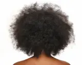 Vue arrière d'une chevelure afro volumineuse et naturelle, des cheveux crépus magnifiques sur fond blanc.