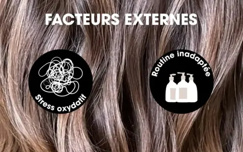 Facteurs externes affectant la **vitesse pousse cheveux** : stress oxydatif et routine inadaptée.
