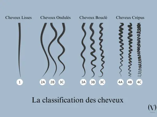 Classification des cheveux : lisses (1), ondulés (2A, 2B, 3C), bouclés (3A, 3B, 3C) et crépus (4A, 4B, 4C).