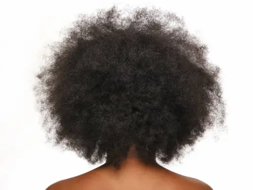 Vue arrière d'une chevelure afro volumineuse et naturelle, des cheveux crépus magnifiques sur fond blanc.