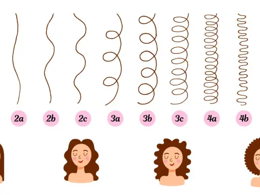 Guide pour comment savoir son type de cheveux : des mèches lisses aux boucles serrées, avec des exemples visuels et des numéros.