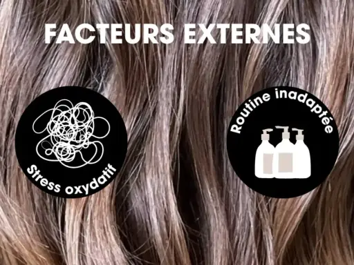 Facteurs externes affectant la **vitesse pousse cheveux** : stress oxydatif et routine inadaptée.