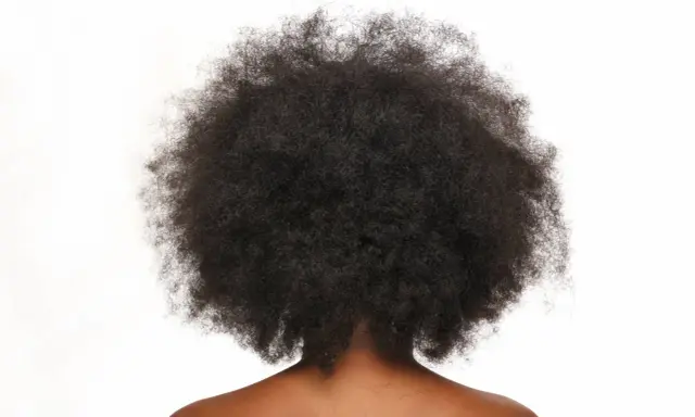 Vue arrière d'une chevelure afro volumineuse et naturelle, des cheveux crépus magnifiques sur fond blanc.