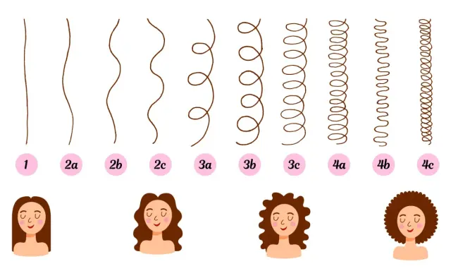 Guide pour comment savoir son type de cheveux : des mèches lisses aux boucles serrées, avec des exemples visuels et des numéros.