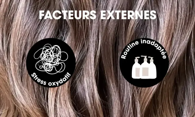 Facteurs externes affectant la **vitesse pousse cheveux** : stress oxydatif et routine inadaptée.